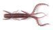 Нимфа Lucky John HOGY SHRIMP Pro Series 3.5"/ S19 (5 шт) 140174-S19 фото 1