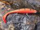 Віброхвіст KUBIRA SWIM SHAD 3D Lucky John Pro Series 5" / PG22 (3 шт) 140420-PG22 фото 3