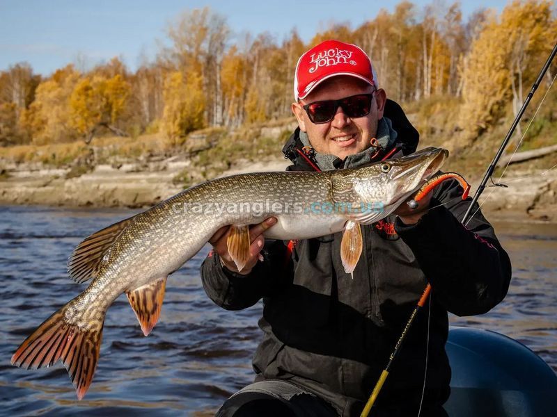 Віброхвіст KUBIRA SWIM SHAD 3D Lucky John Pro Series 5" / PG22 (3 шт) 140420-PG22 фото