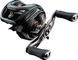 Котушка мультиплікаторна Daiwa 24 Steez SV TW 100HL (під ліву руку) 4550133344329 фото 1