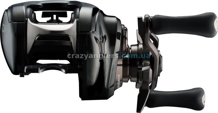 Котушка мультиплікаторна Daiwa 24 Steez SV TW 100HL (під ліву руку) 4550133344329 фото