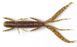 Нимфа Lucky John HOGY SHRIMP Pro Series 3 "/ PA03 (10 шт) 140140-PA03 фото 1